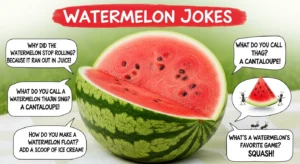 Watermelon Jokes